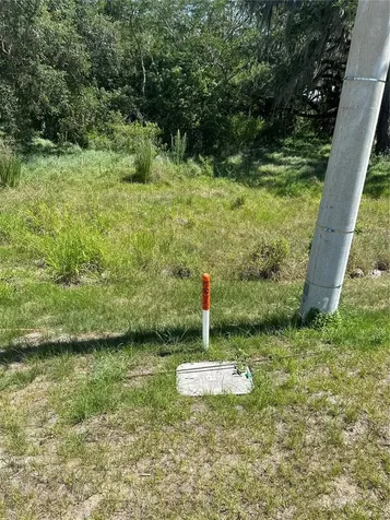 0 Simpson Road Kissimmee FL 34744