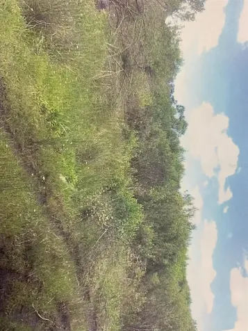 0 Simpson Road Kissimmee FL 34744