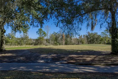 12852 Grand Traverse Drive Dade City FL 33525