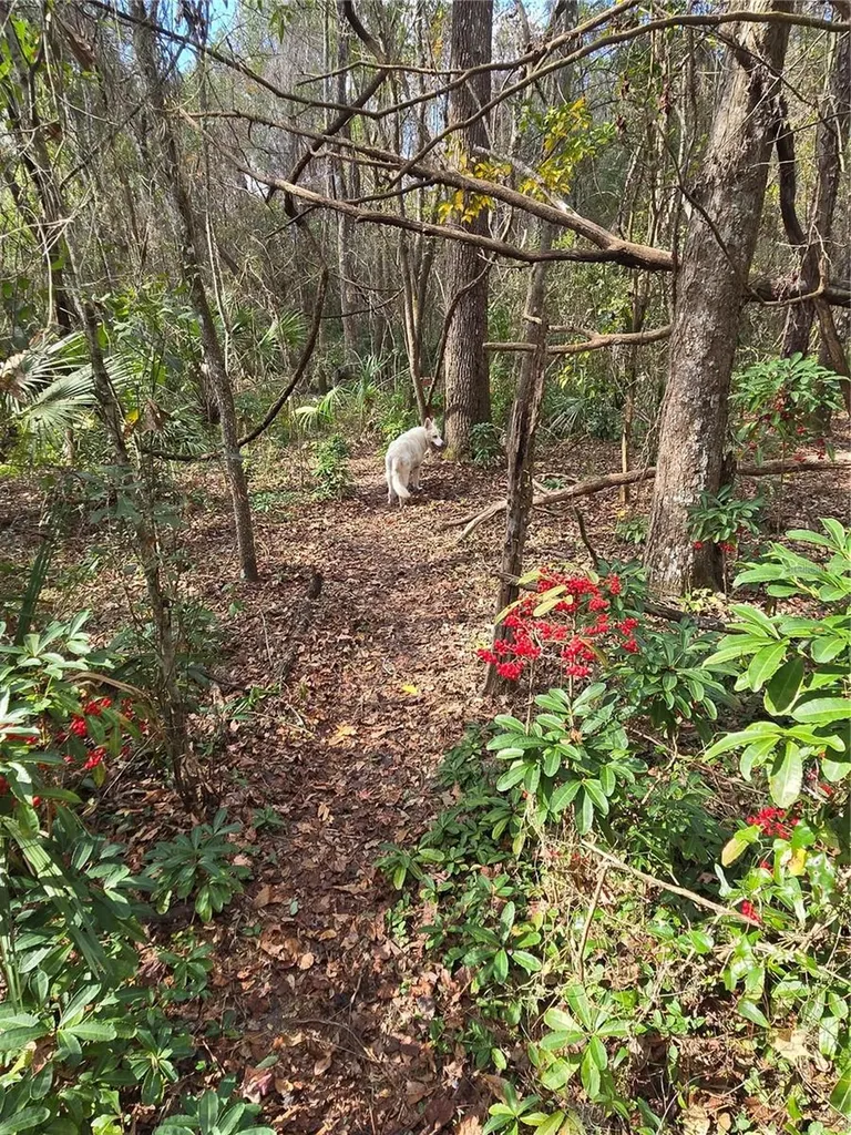 25344 Croom Road Brooksville FL 34601
