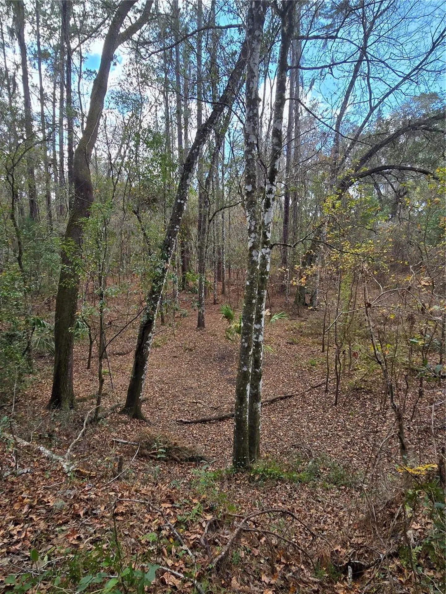 25344 Croom Road Brooksville FL 34601