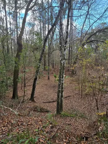 25344 Croom Road Brooksville FL 34601