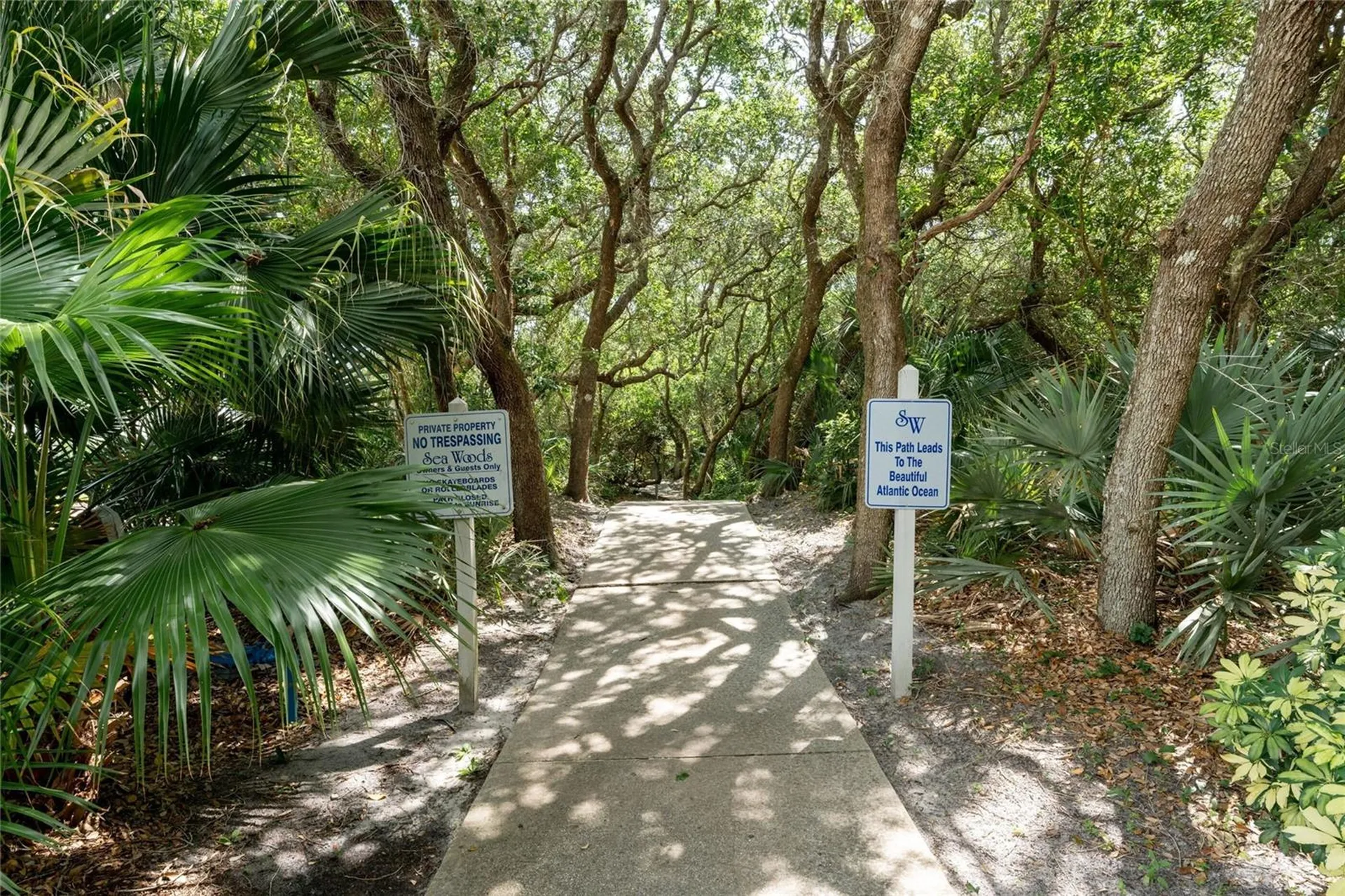 4401 Sea Mist Drive New Smyrna Beach FL 32169