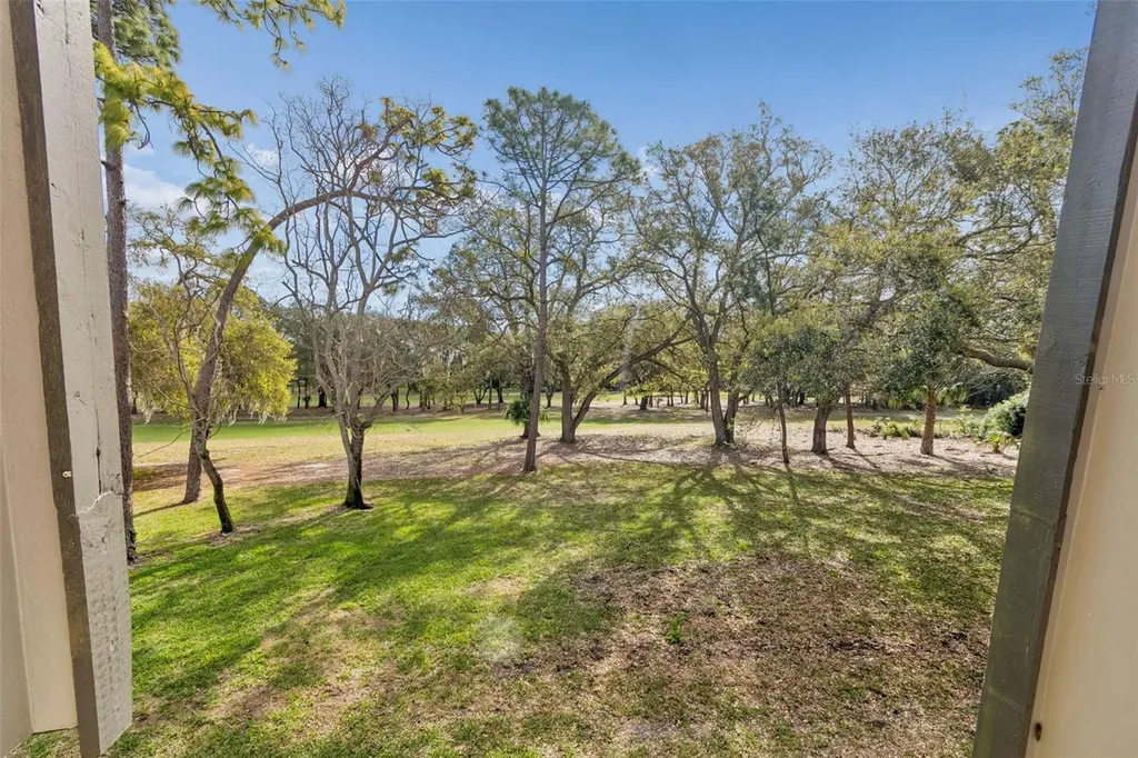 36750 Us Highway 19 N Palm Harbor FL 34684
