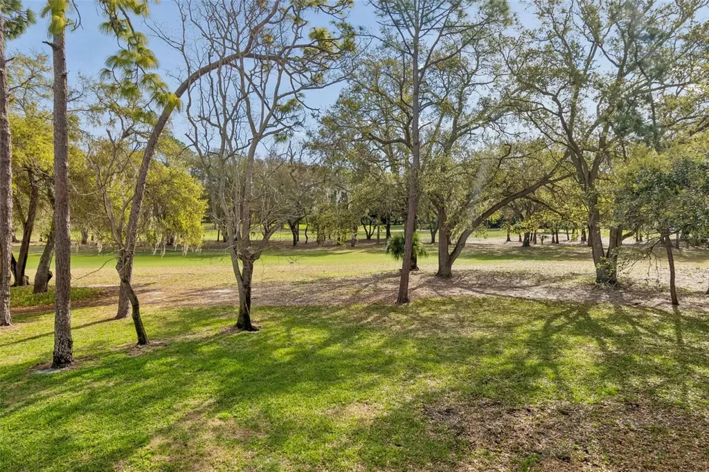 36750 Us Highway 19 N Palm Harbor FL 34684