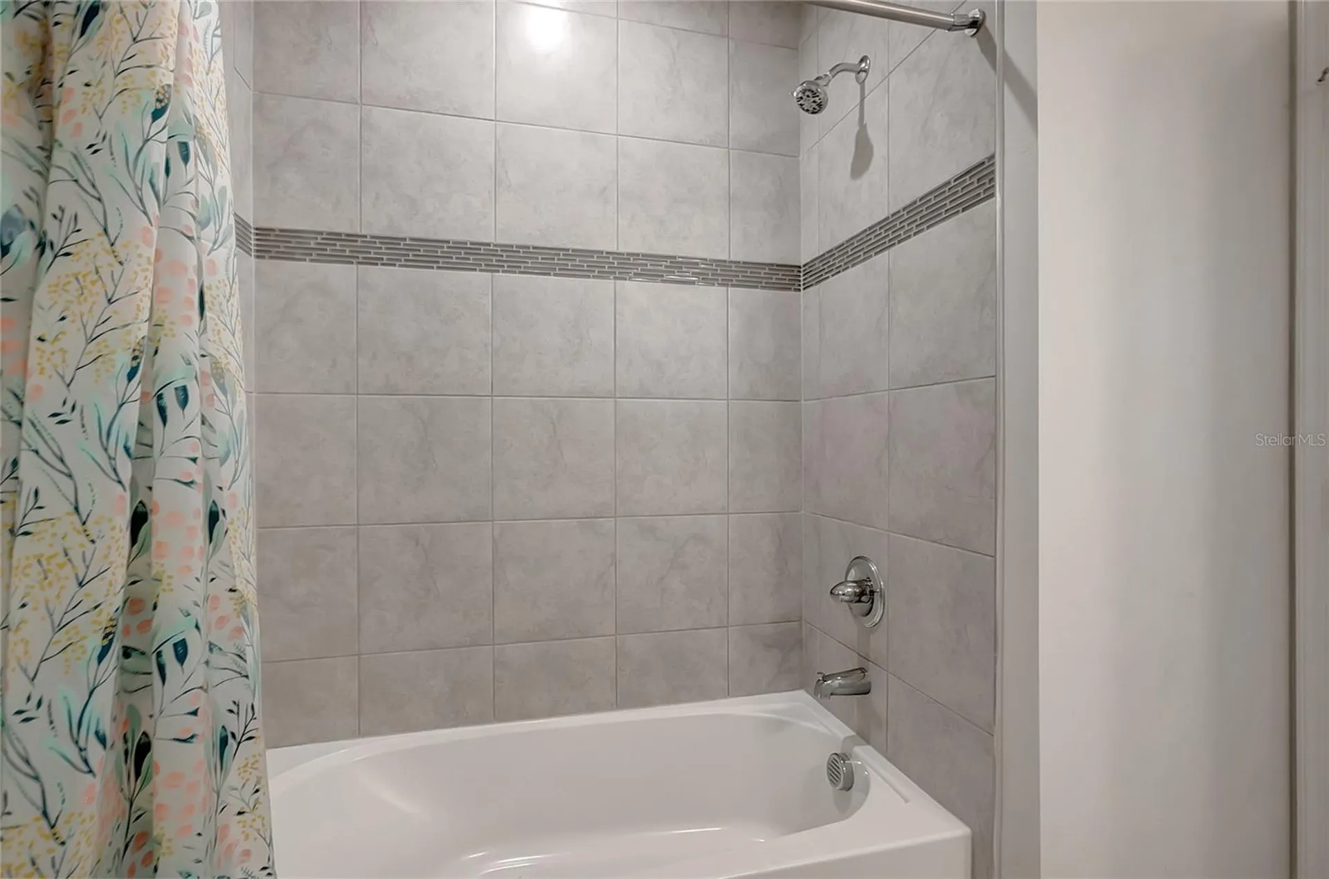 10209 Agave Court Land O Lakes FL 34638
