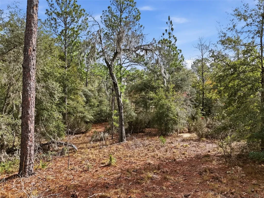 00 NE 111th Lane Bronson FL 32621