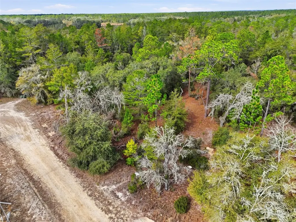 00 NE 111th Lane Bronson FL 32621
