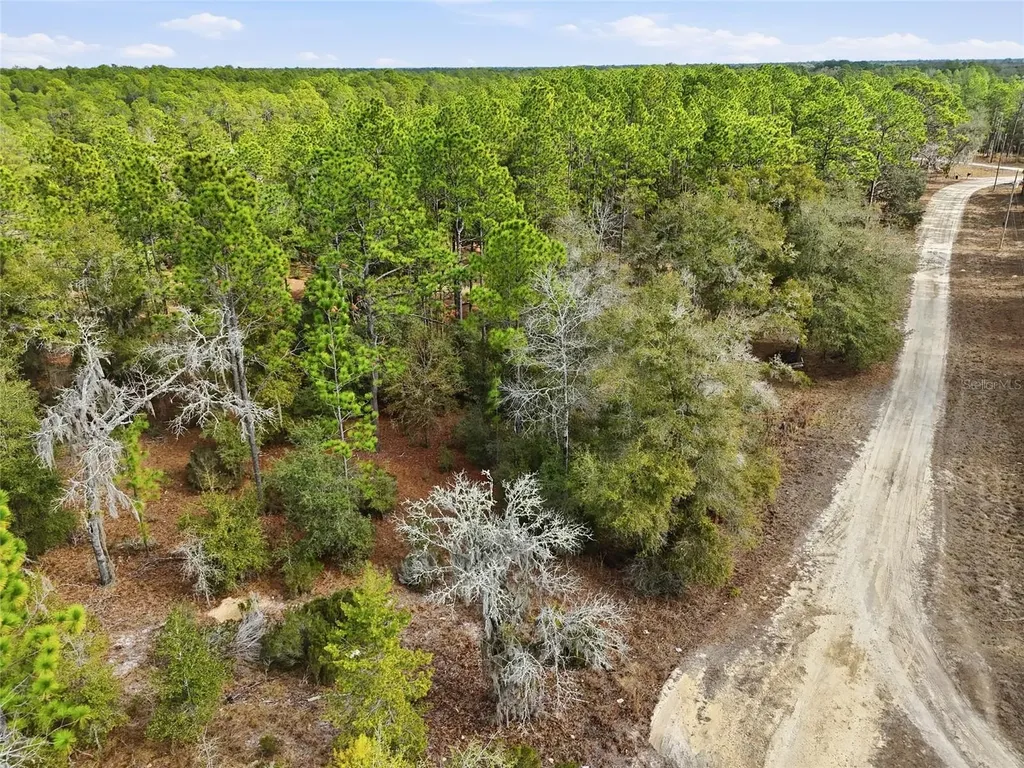 00 NE 111th Lane Bronson FL 32621