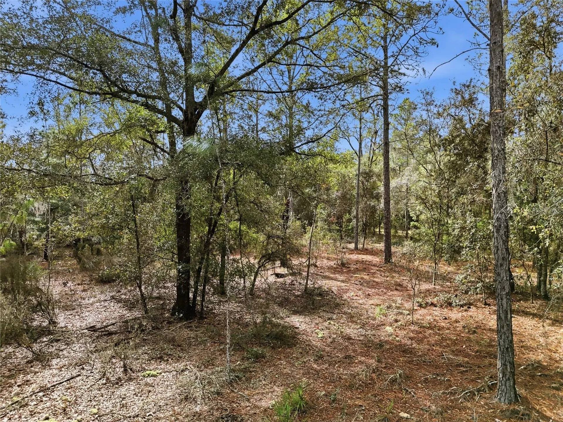 00 NE 111th Lane Bronson FL 32621