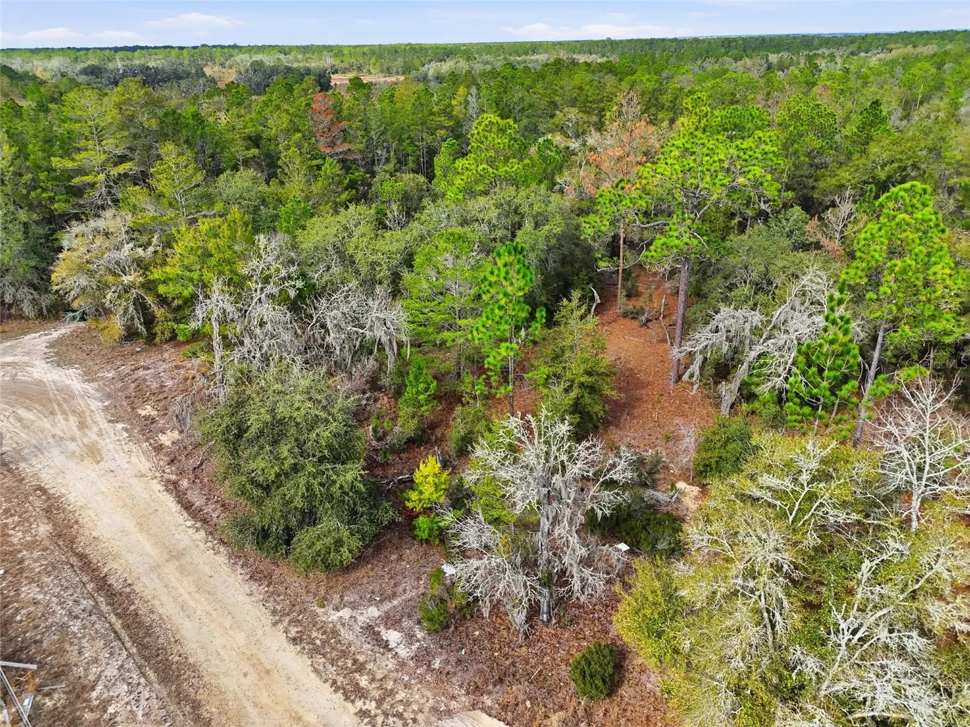 00 NE 111th Lane Bronson FL 32621