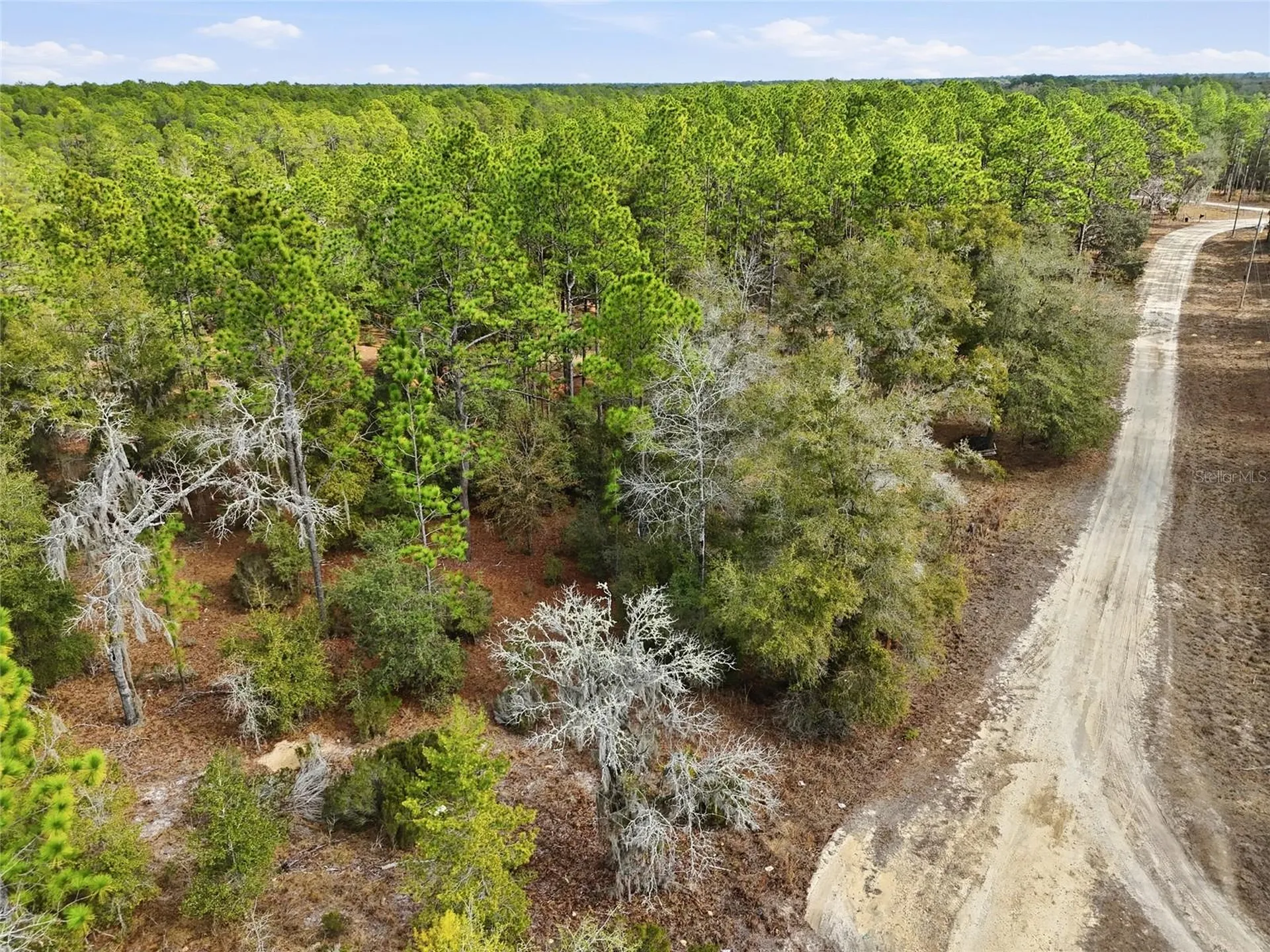 00 NE 111th Lane Bronson FL 32621