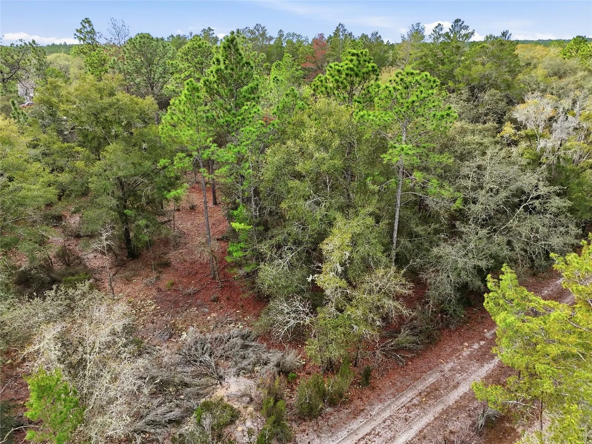 00 NE 111th Lane Bronson FL 32621