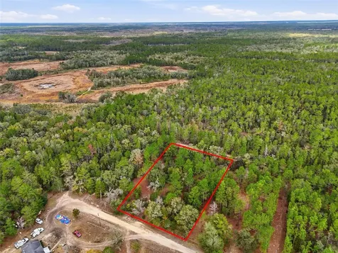 00 NE 111th Lane Bronson FL 32621