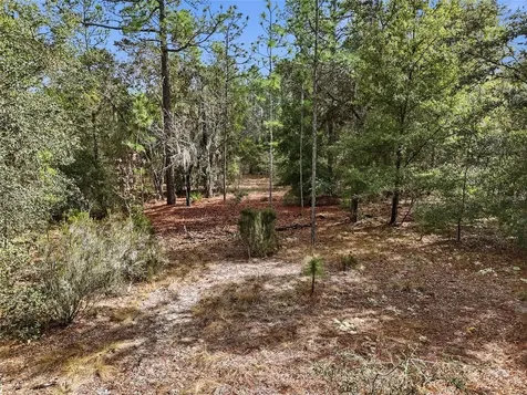 00 NE 111th Lane Bronson FL 32621