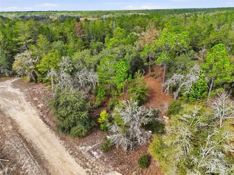 00 NE 111th Lane Bronson FL 32621