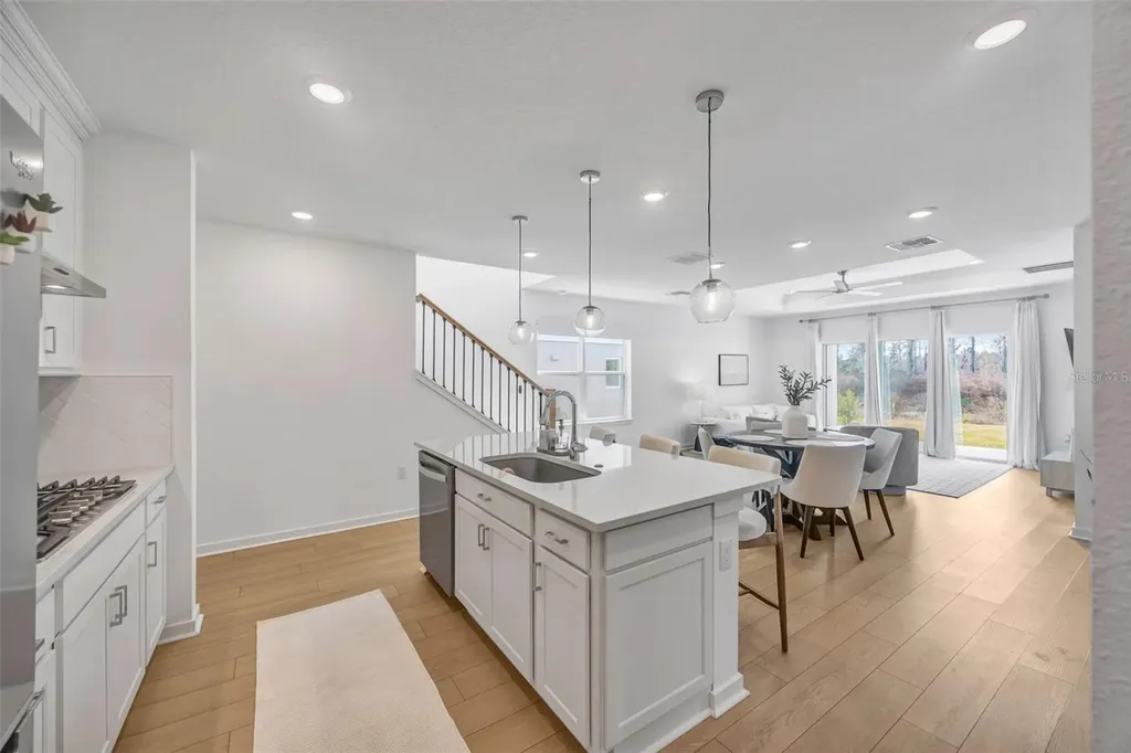 1095 Kistna Drive Zephyrhills FL 33540