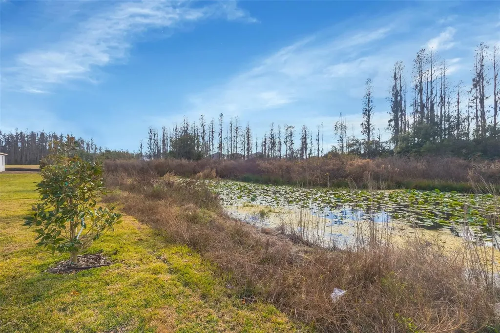 1095 Kistna Drive Zephyrhills FL 33540