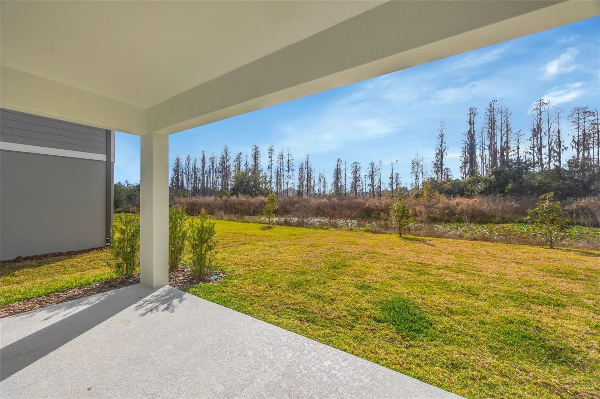 1095 Kistna Drive Zephyrhills FL 33540