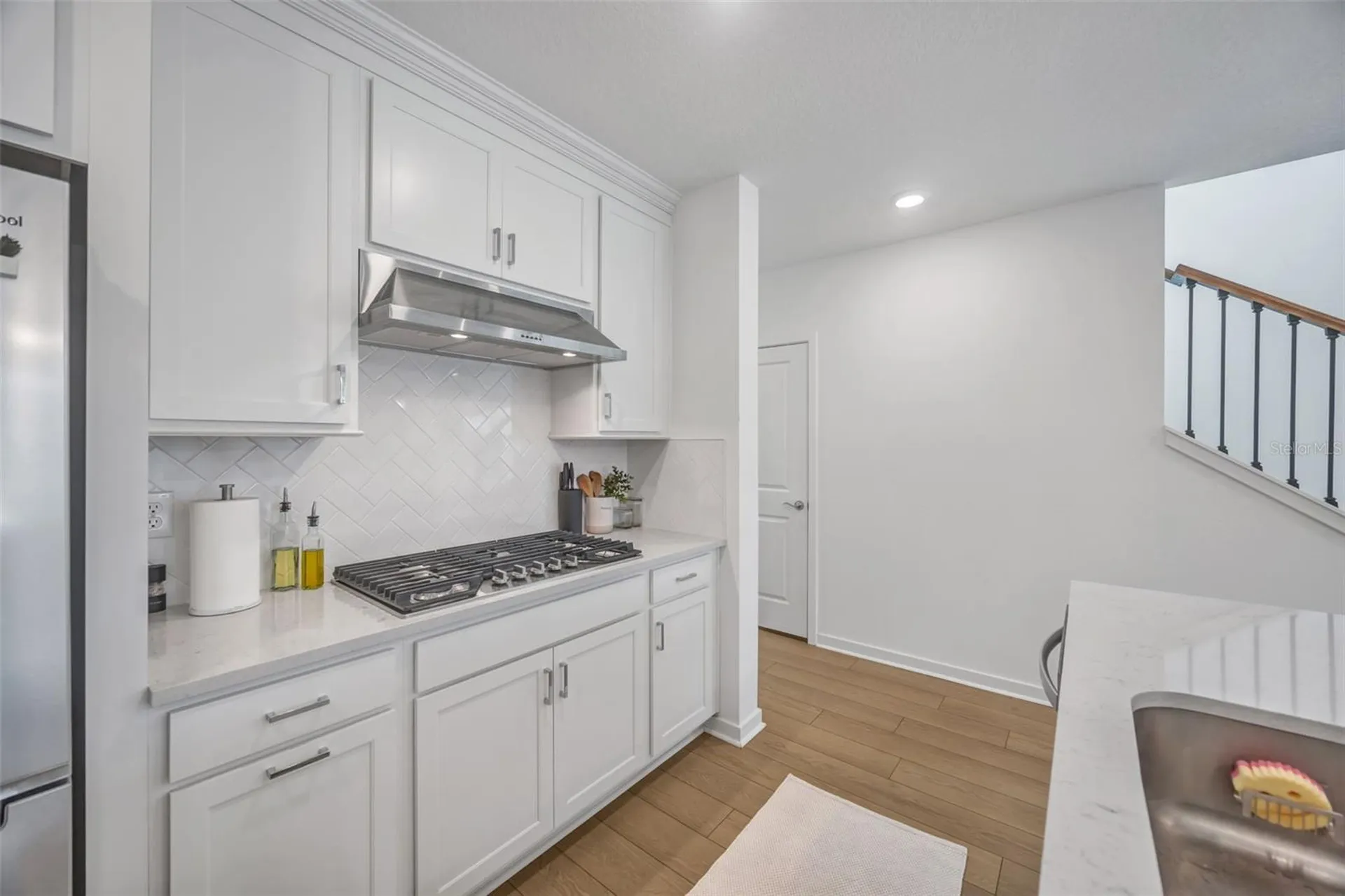 1095 Kistna Drive Zephyrhills FL 33540