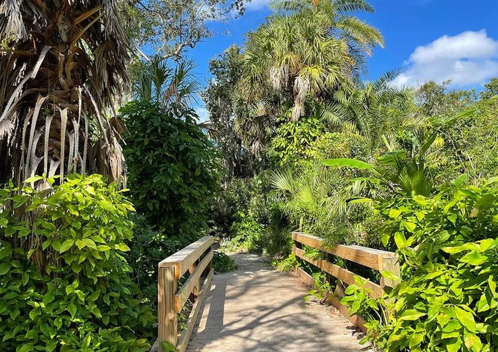 12760 Indian Rocks Road Largo FL 33774