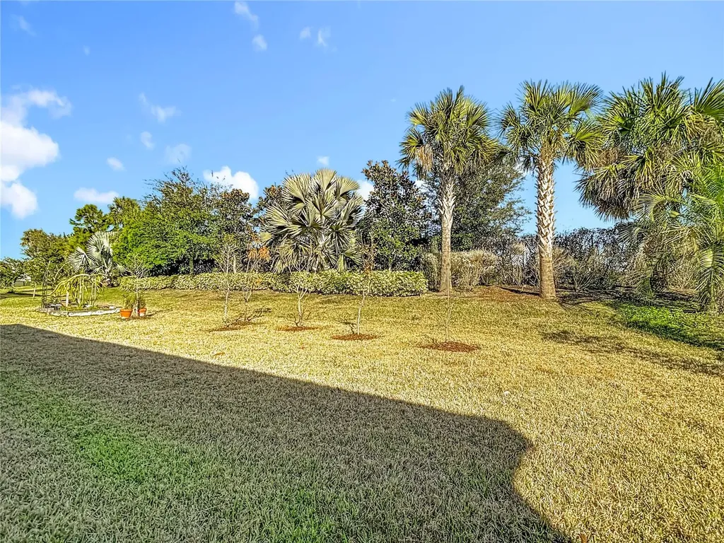 32676 Tree Of Life Avenue Wesley Chapel FL 33543