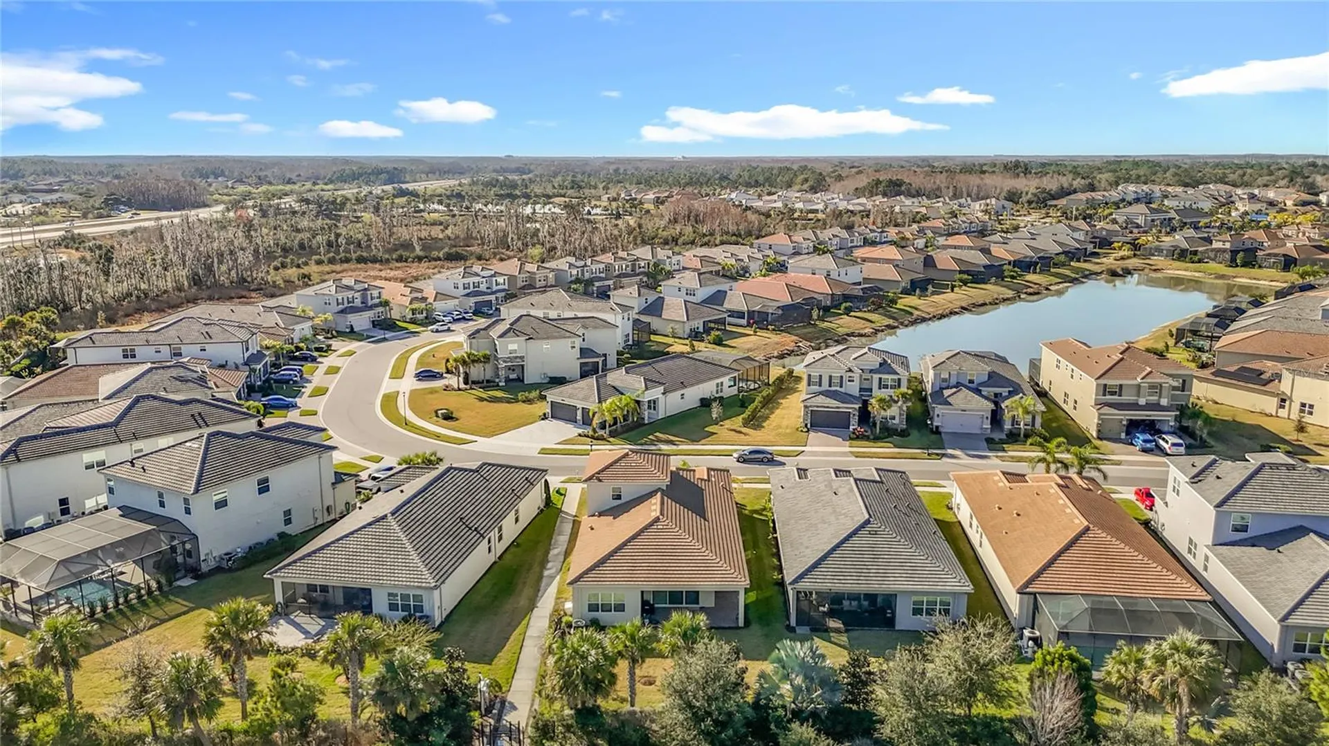 32676 Tree Of Life Avenue Wesley Chapel FL 33543