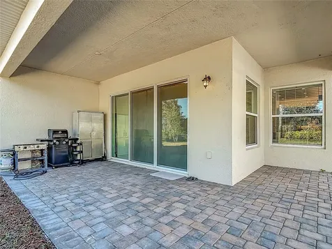 32676 Tree Of Life Avenue Wesley Chapel FL 33543