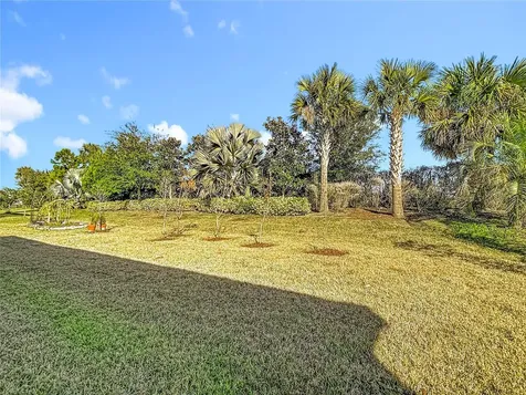 32676 Tree Of Life Avenue Wesley Chapel FL 33543