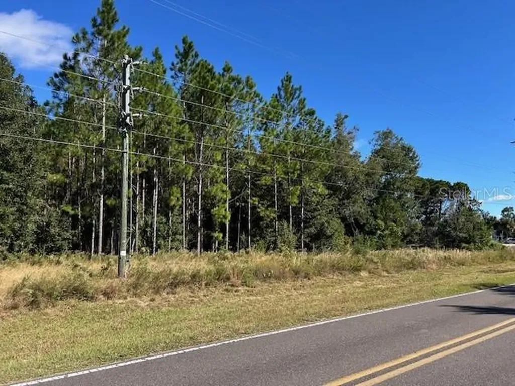 Tbd Us Highway 19 (n Young Blvd) Chiefland FL 32626
