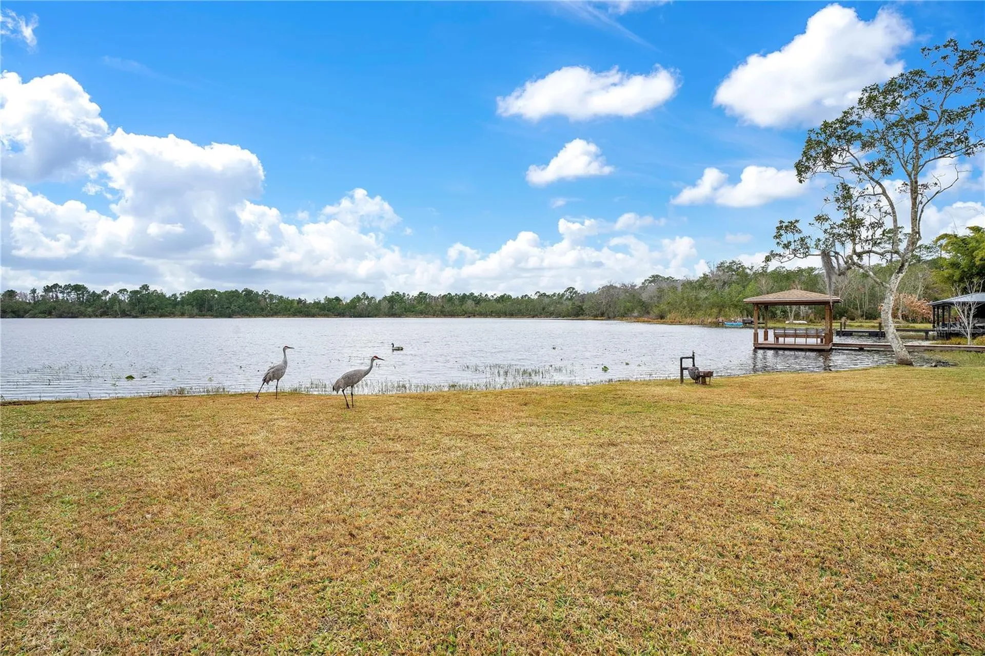 11450 Fangorn Road Orlando FL 32825