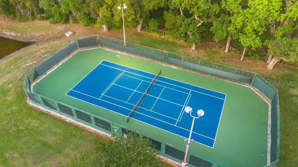 10577 Down Lakeview Circle Windermere FL 34786