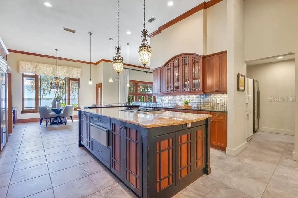 10577 Down Lakeview Circle Windermere FL 34786