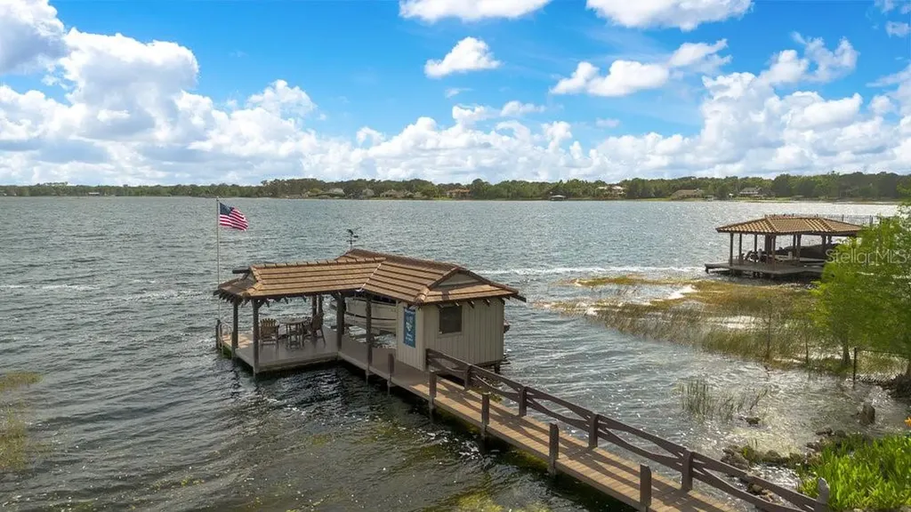 10577 Down Lakeview Circle Windermere FL 34786