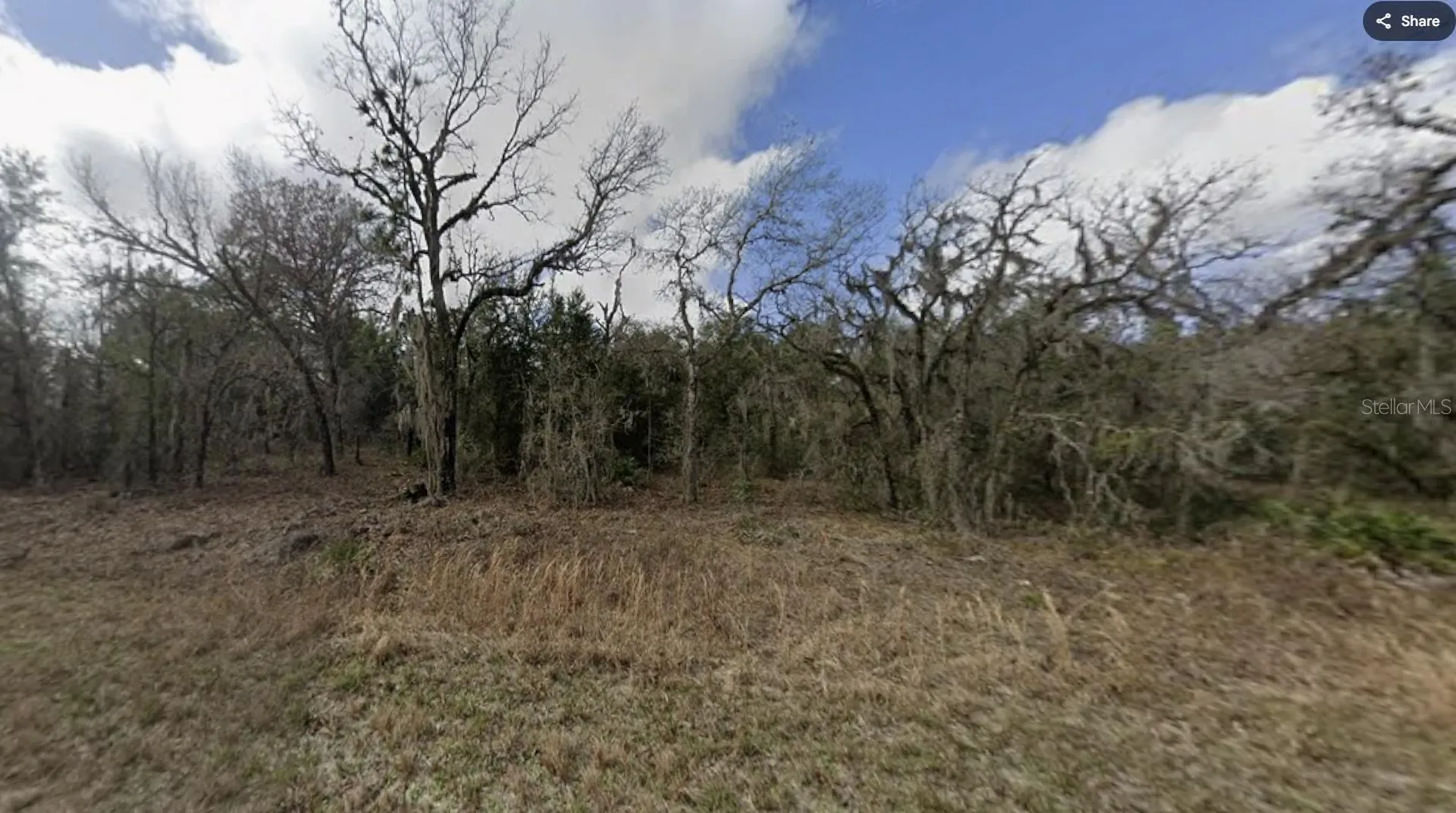 16221 Crider Road Brooksville FL 34614