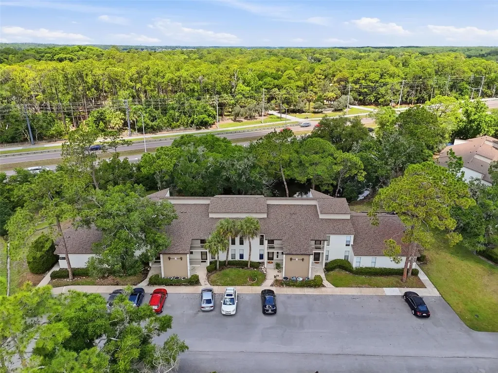1200 Tarpon Woods Boulevard Palm Harbor FL 34685