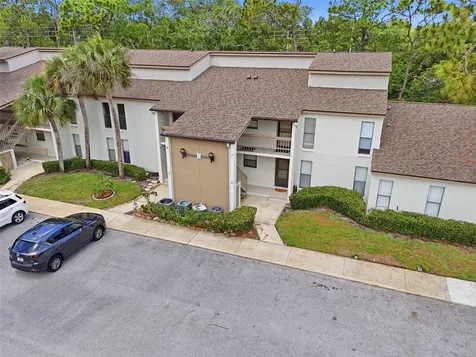 1200 Tarpon Woods Boulevard Palm Harbor FL 34685