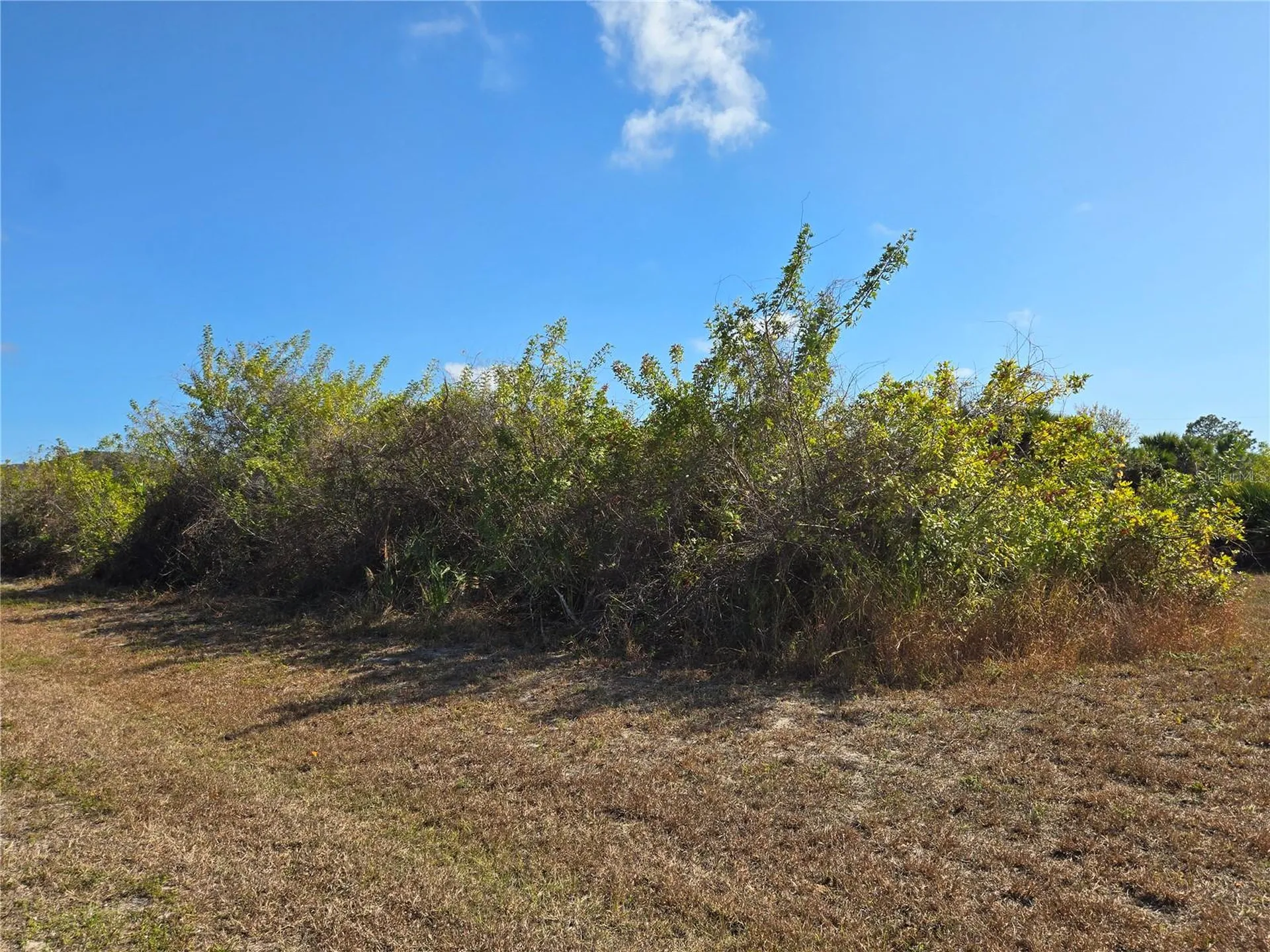 277 Baytree Drive Rotonda West FL 33947
