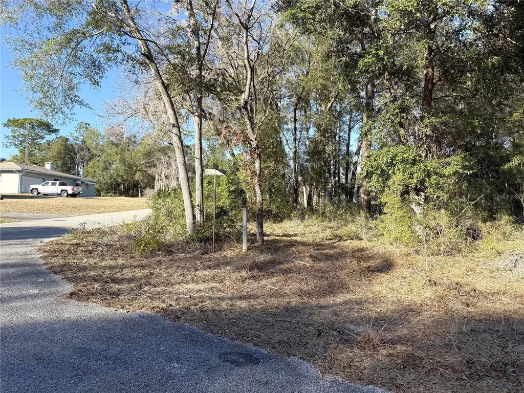 15331 NE 3rd Lane Williston FL 32696