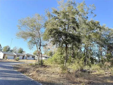 15331 NE 3rd Lane Williston FL 32696