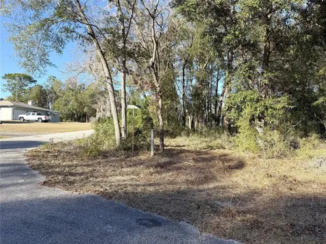 15331 NE 3rd Lane Williston FL 32696
