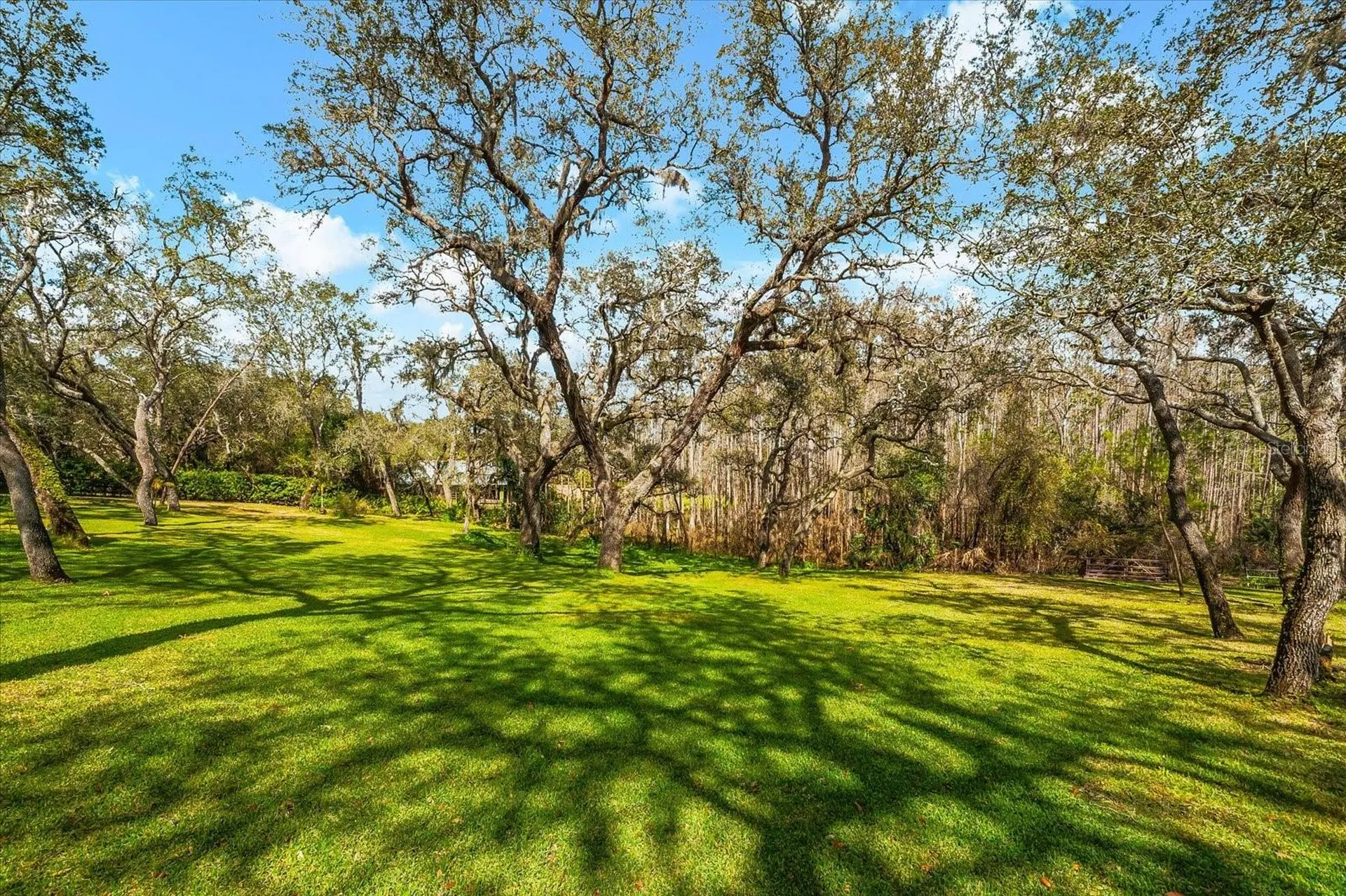 653 Old East Lake Road Tarpon Springs FL 34688