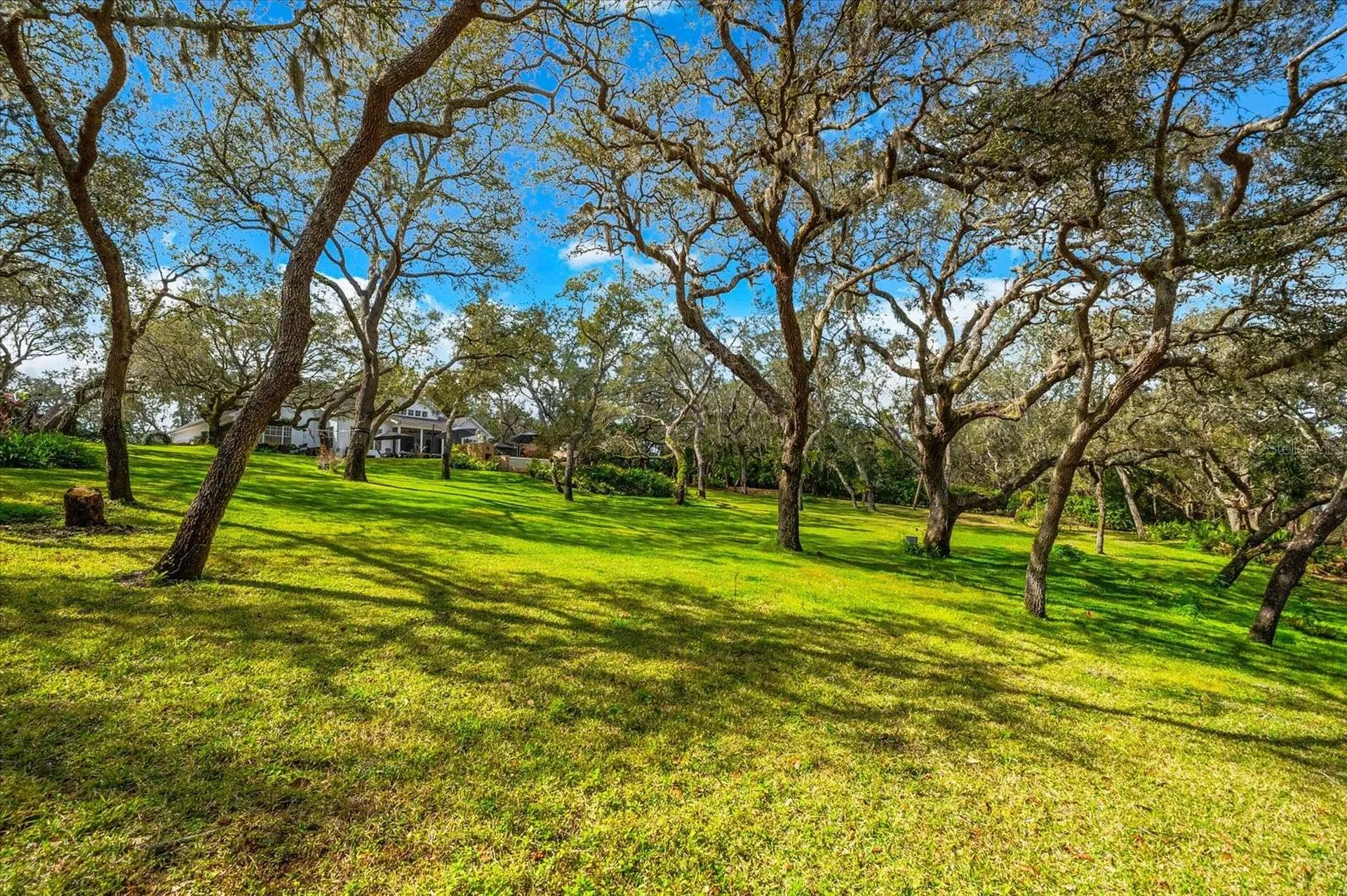653 Old East Lake Road Tarpon Springs FL 34688