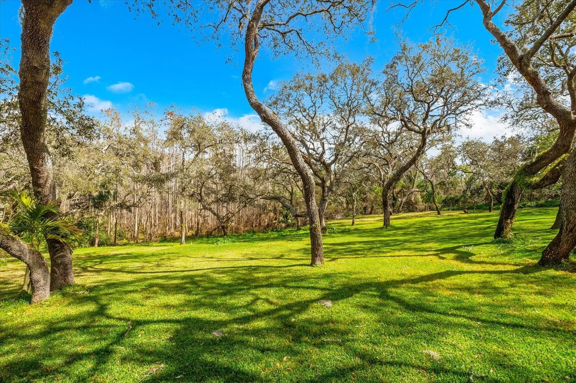 653 Old East Lake Road Tarpon Springs FL 34688
