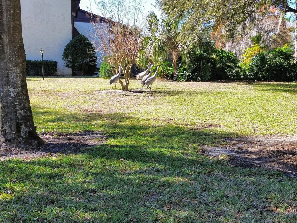 512 Fairways Circle Ocala FL 34472