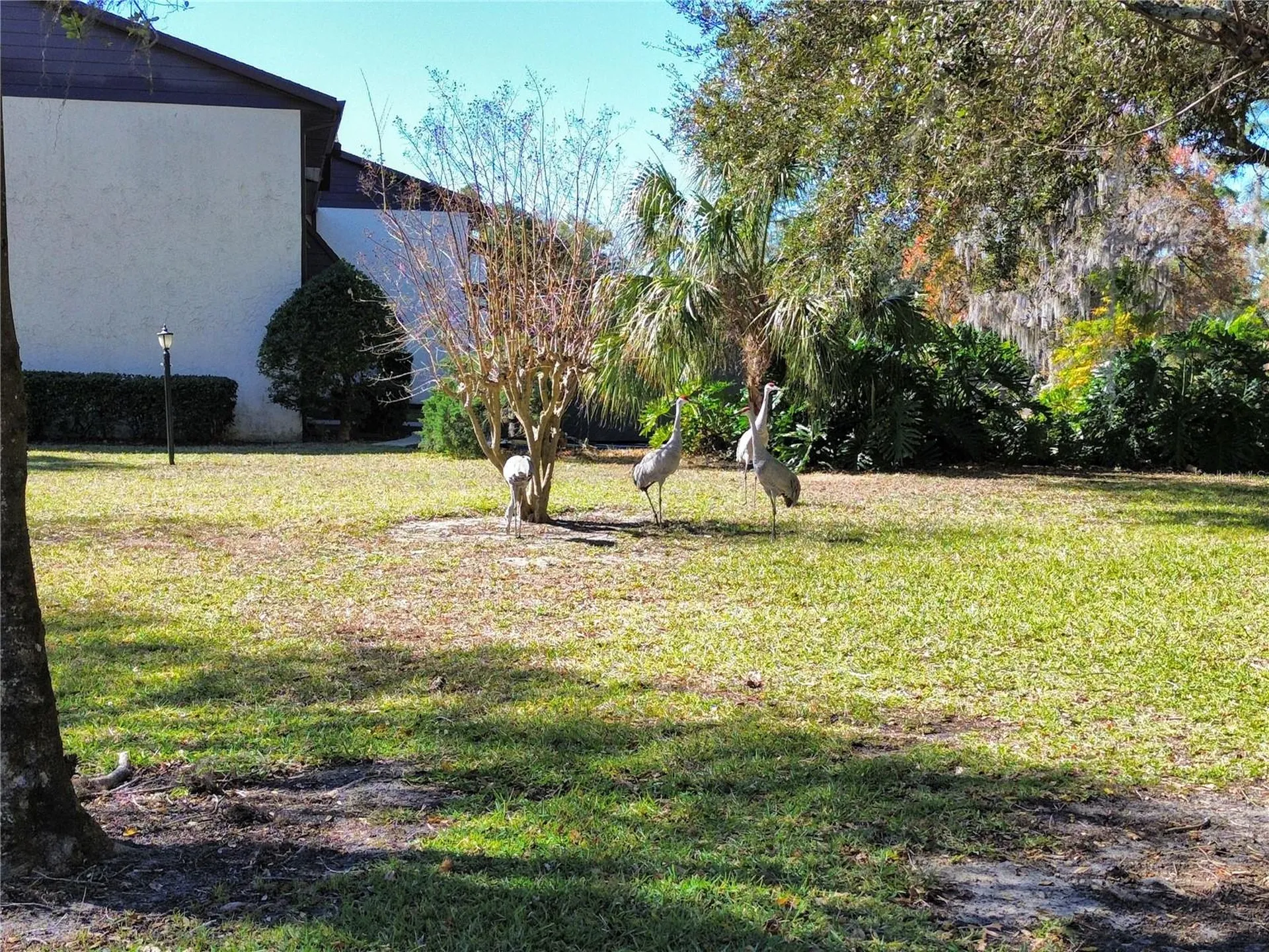 512 Fairways Circle Ocala FL 34472