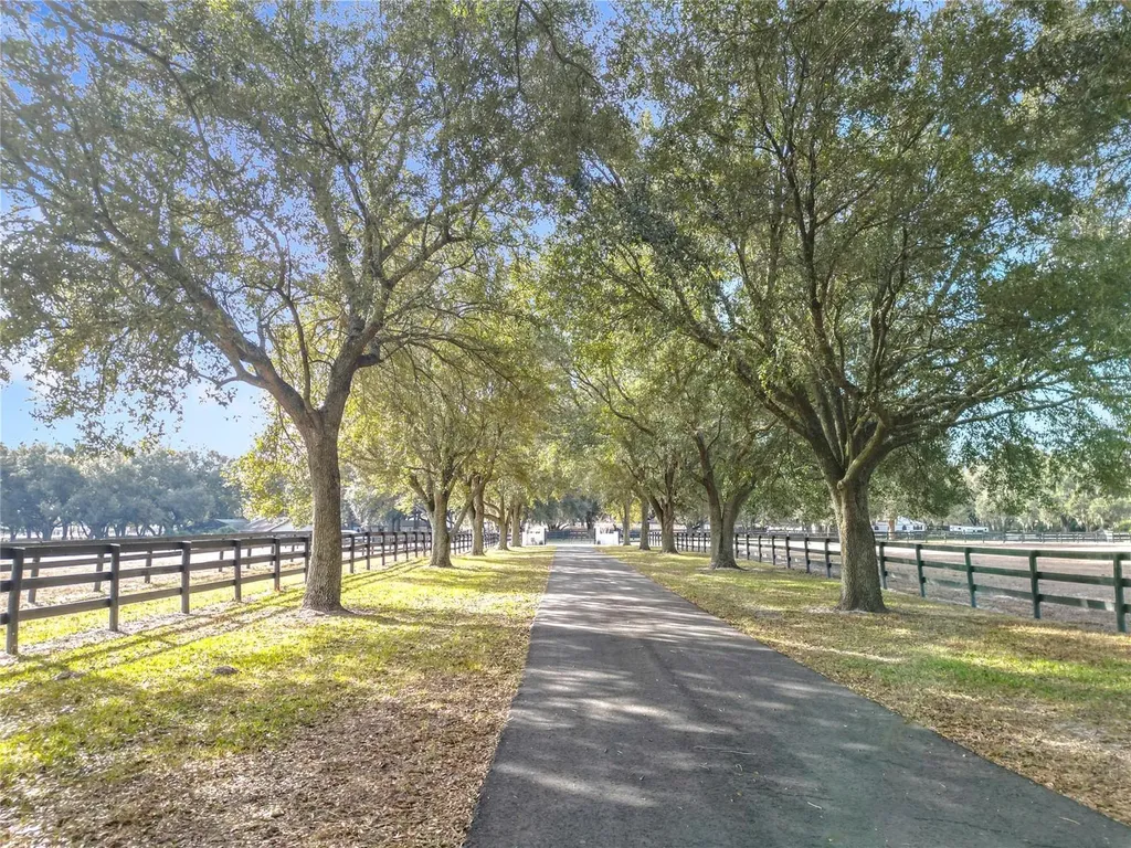 21051 SE 42nd Street Morriston FL 32668