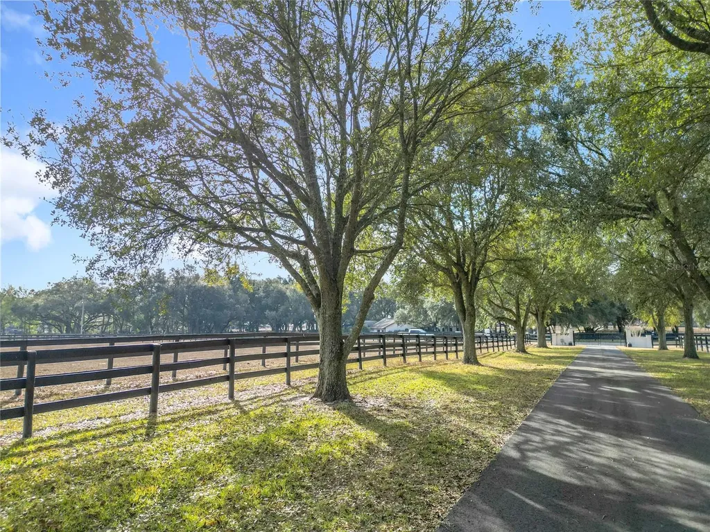 21051 SE 42nd Street Morriston FL 32668