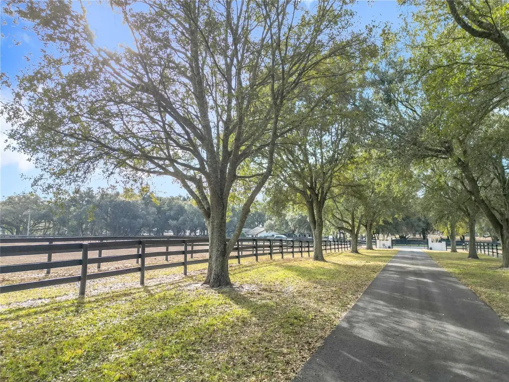 21051 SE 42nd Street Morriston FL 32668