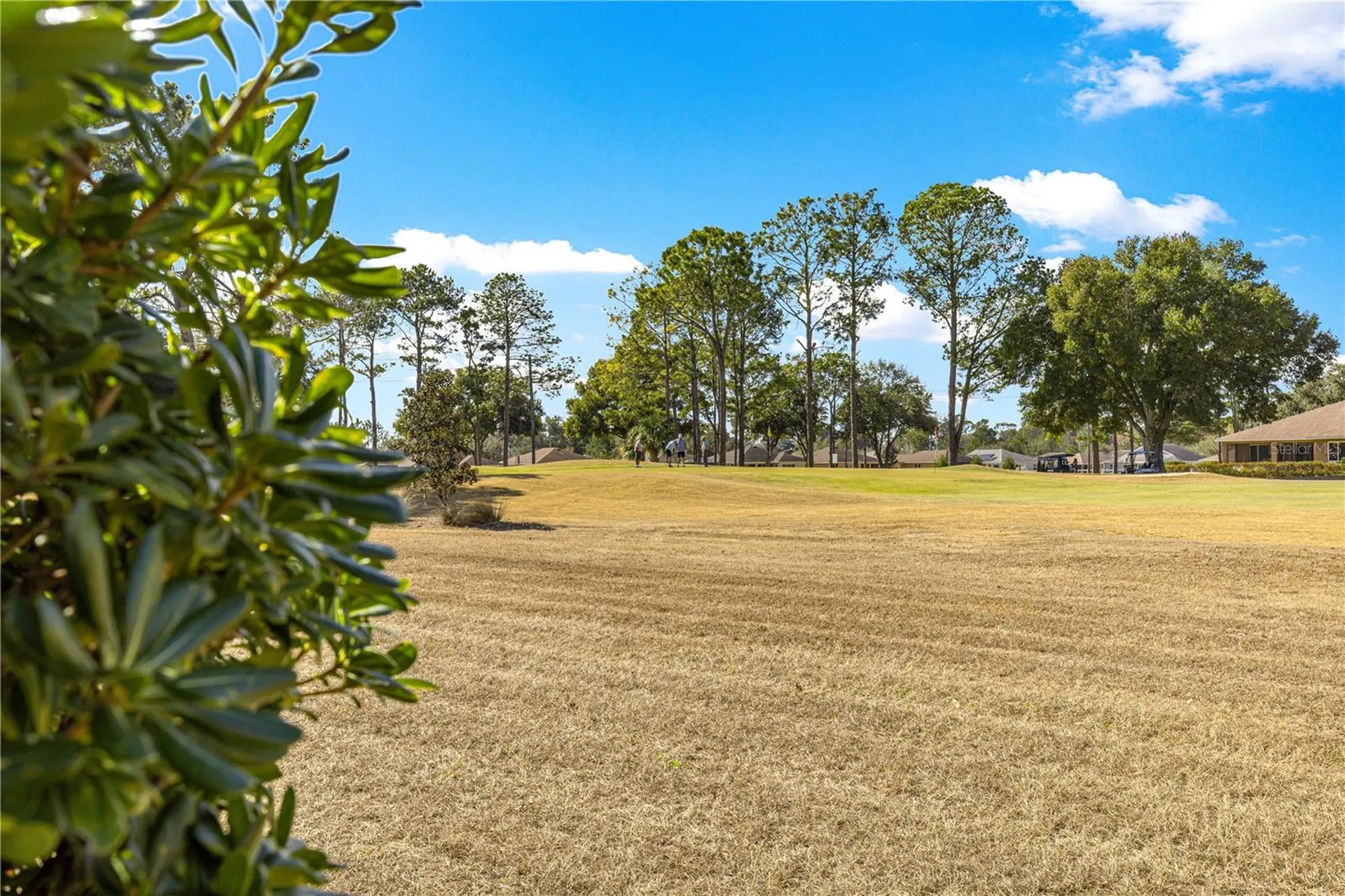 9250 SW 96th Court Road Ocala FL 34481